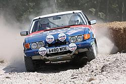 Goodwood FOS 2013 116.jpg