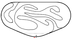 tri-oval concept.png