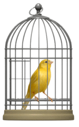 Canary.gif