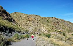 Click image for larger version

Name:	Dog walk (2).jpg
Views:	19
Size:	2.11 MB
ID:	50927