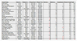 Sin Team Scores.jpg