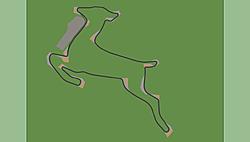 reindeer track.jpg